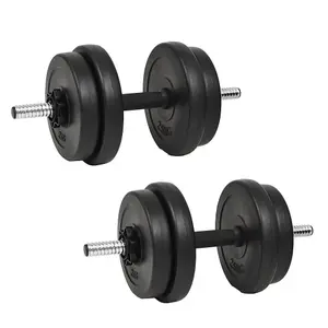 Dumbbell with Plates Fitness Gym Essential 40 kg