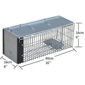 Humane Animal Trap for Vermine Rat/Squirrel Heavy Duty Metal Catcher