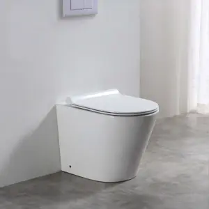 Baku Back to Wall Rimless Toilet