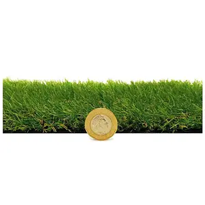 Boundary 30mm Outdoor Artificial Grass,Pet-Friendly Outdoor Artificial Grass-5m(16'4") X 4m(13'1")-20m²