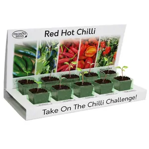 Pronto Seed Grow Your Own Chilli Plants Kit - 5 Chilli Seed Varieties - Gardening Gifts for Men and Women