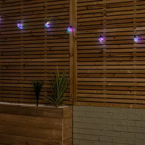 Set of 10 Indoor Outdoor Connectable Firefly Festoon Lights with Multi Coloured LEDs