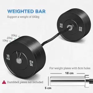 SPORTNOW 120cm EZ Curl Bar, Olympic Barbell Bar for 5cm Weight Plates, 8kg