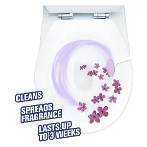 Harpic Hygienic Toilet Rim Block Twin pack Lavender 2 x 40g (Pack of 12)