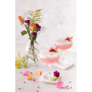 Entertain Cocktail Saucer Glasses 200ml (Set of 4)