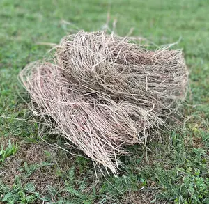 Hedgehog House Nesting Material