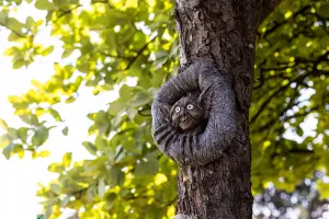 Goblin Head  Tree Peeker Ornament