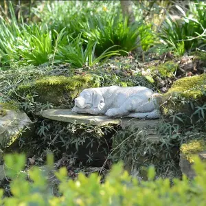 Adorable Sleeping Labrador Garden Ornament