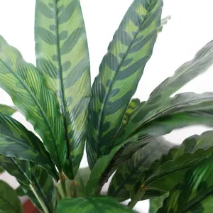 60cm Artificial Calathea Plant Variegated