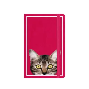 Inquisitive Creatures Kitten A6 Notebook Pink (A6)