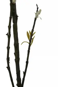 Fiori 96cm White Spray Willow Artificial Plant Foliage