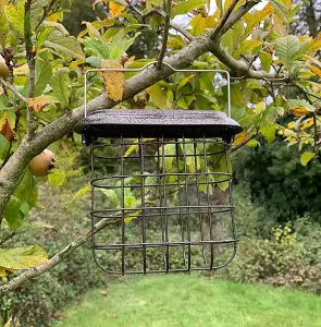 Hanging Suet Block Bird Feeder For Selections Metal Bird Feeding Stations