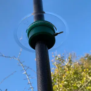 Squirrel Proof Baffle Protection for Wild Bird Feeders