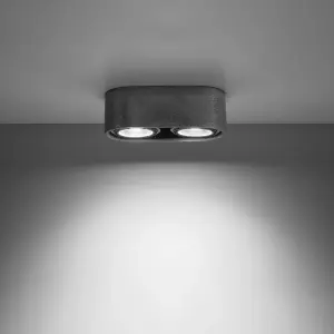 Basic Concrete Grey 2 Light Classic Ceiling Light