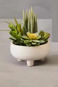 Fiori Mixed Succulents In Large Ceramic Pot Artificial Plant Foliage