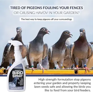 Karlsten Pigeon Bird repellent Effective Treatment to Keep Pigeons away and Protect your Garden