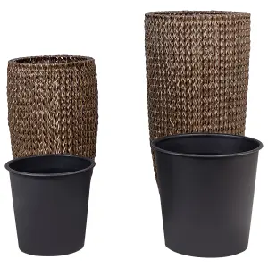 Set of 2 Plant Pots CEDRUS PE Rattan Brown