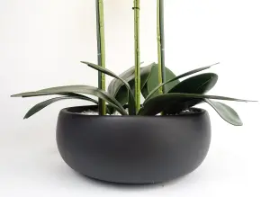 60cm Orchid Yellow - Black Ceramic Planter