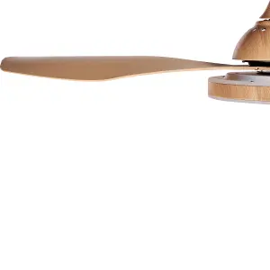 Ceiling Fan with Light Brown MUDDY