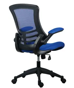 Rainbow Zebra Blue Mesh Office Chair with Black Base and Folding Armrests