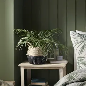 20cm Palm Artificial plant in Natural Wicker Basket