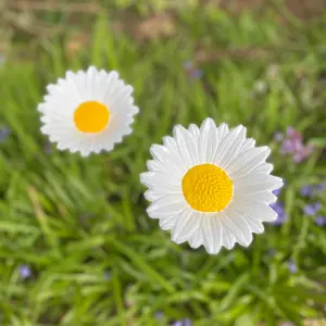 Cast Iron Wild Bird Daisy Flower Dish Bird Feeder (Set of 3)