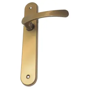 Modern Gold Interior Door Handle Set with Sleek Lever Design and Backplate, Ideal for Bedroom and Bathroom Doors, Durable