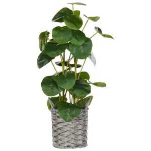 Beliani Retro Artificial Plant KIBETI Green