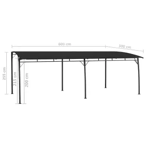 Berkfield Garden Sunshade Awning 6x3x2.55 m Anthracite