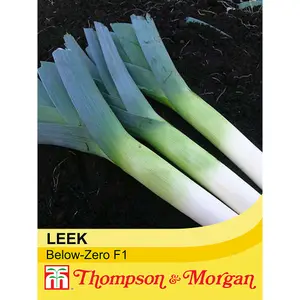 Leek Below-Zero F1 Hybrid 1 Seed Packet (50 Seeds)