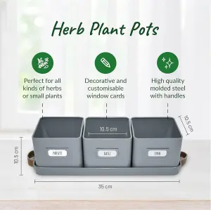 Indoor Herb Pots for Kitchen Windowsill 3 Charcoal Grey Planters with Tray, Leather Handles & Labels Drainage Holes