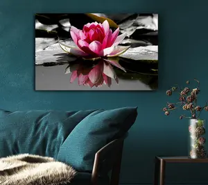 Pink Water Lily Reflections B N W Canvas Print Wall Art - Medium 20 x 32 Inches