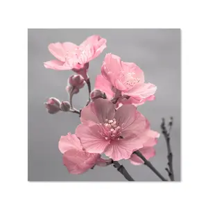 Delicate Pink Flowers Kitchen Splashback