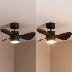 Cayleeann 24cm Ceiling Fan with LED Lights Black