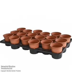 Professional Shuttle Tray 1 x and Pots x 18 set Growing Multiple pots of plants by Thompson and Morgan (18)