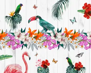 Origin Murals Tropical Birds of Paradise Matt Smooth Paste the Wall 350cm wide x 280cm high