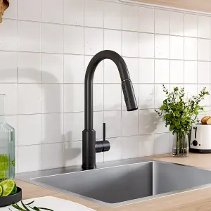 Single Stainless Steel Lever Handle Kitchen Faucet in Black