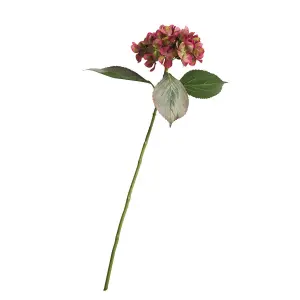 Bloom Artificial Single Burgundy Hydrangea Flower Stem - Faux Fake Silk Flower Indoor Home Decoration Floral Arrangements - L60cm