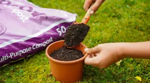 Pro-Grow 1460L Multi-Purpose Compost Bulk Bag: Peat-free soil for planting containers, pots, tubs, general gardening & landscaping