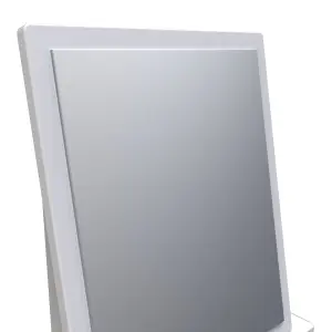 Harrow Mirror in White (Ready Assembled)