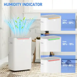 HOMCOM 20L/Day Dehumidifier for Home Damp, with 24H Timer, White