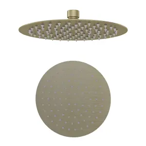 Aquarius Modern Round Over Head 8" Shower Head Brushed Brass AQ601022