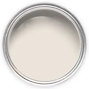 Annie Sloan Satin Paint 750ml Old White