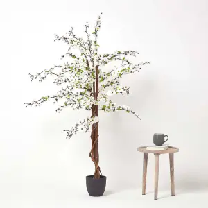 Homescapes Artificial Blossom Tree with White Silk Flowers - 5 Feet