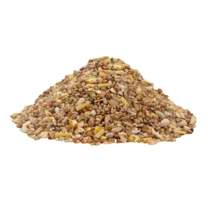 Peckish Complete Seed Wild bird feed 1kg