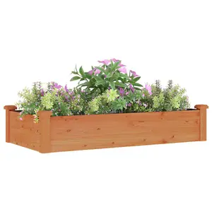 Berkfield Garden Raised Bed with Liner Brown 120x60x25 cm Solid Wood Fir