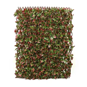 True Products Premium Expanding Willow Trellis Fence - Artificial Red Tip Photinia Garden Wall Screening