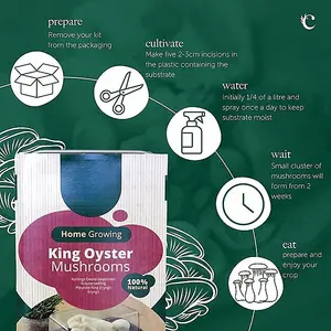 Mushroom Growing Kit King Oyster - Beginner Friendly Ready to Grow Educational Kit - Easy to Use Gardening Gift - Grow Your Own