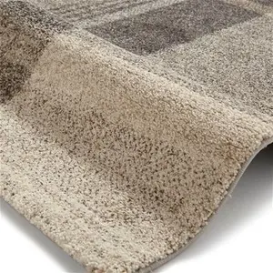 Think Rugs Beige And Grey Elegant 4892 Rug, Country, Size: 120cm X 170cm (4ft X 5.5Ft)