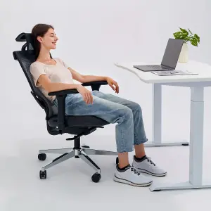 FlexiSpot Breathable and Comfortable Ergonomic Office Chair with Lumbar Support in Black